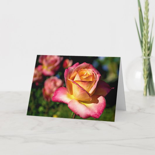 Kaart Isaiah 26:3 van de Manuscript van het Roos v (Voorkant)