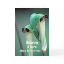 Kaart / Jack-in-the-pulpit