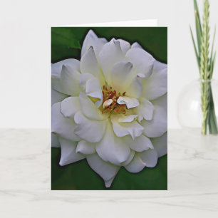 Kaart John 1:9 van White Rose Bloom Scripting