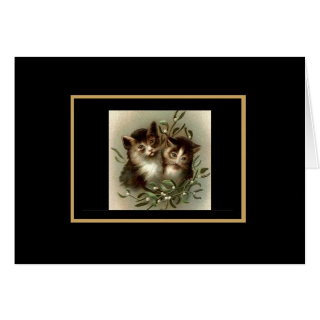  Kaart Kat stilstand (Voorkant Horizontaal)