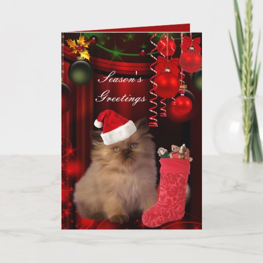 Kaart Kerstmis Pet (Voorkant)