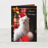 Kaart Kerstmis Witte Maltese puppy Dog (Voorkant)