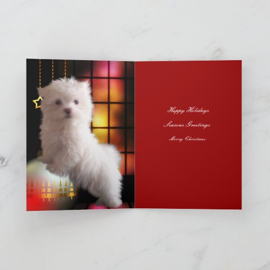 Kaart Kerstmis Witte Maltese puppy Dog (Binnen)