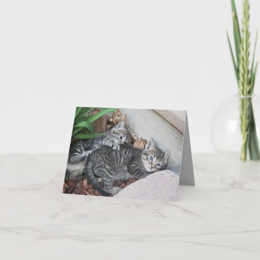 Kaart Kittens (Voorkant)