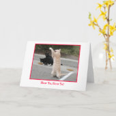 Kaart krijgen (Gele Bloem)