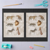  kaart Lion Leopard Giraffe Afrika ontkoppeling Tissuepapier (Craft)