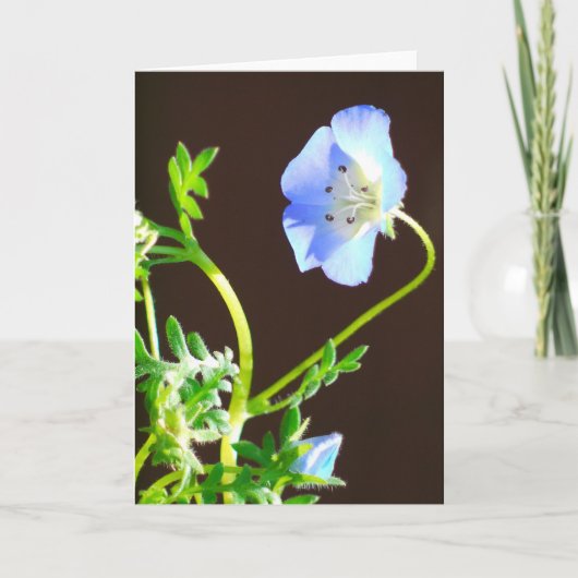 Kaart met blauwe bloemen (Voorkant)