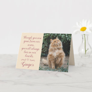 Kaart met condoleance voor kattenverlies Gepersona