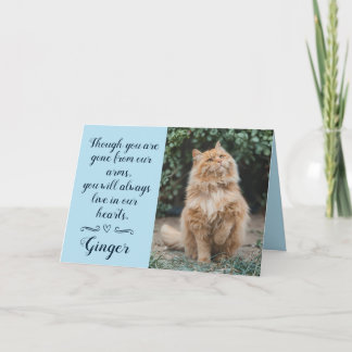 Kaart met condoleance voor verlies van kat Geperso