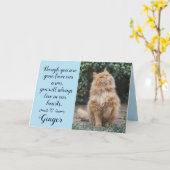 Kaart met condoleance voor verlies van kat Geperso (Gele Bloem)