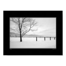 Kaart met eenzaamheid