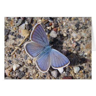 Kaart met groeten, bläuling, in blanco