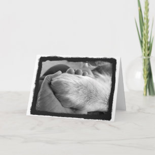 Kaart met handmatige invoer