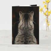 Kaart met kat die "VERRASSING! GEFELICITEERD MET J (Gele Bloem)