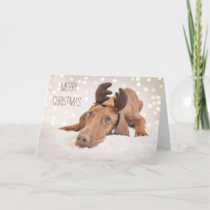 Kaart met kerstmis "Magyar Vizsla"