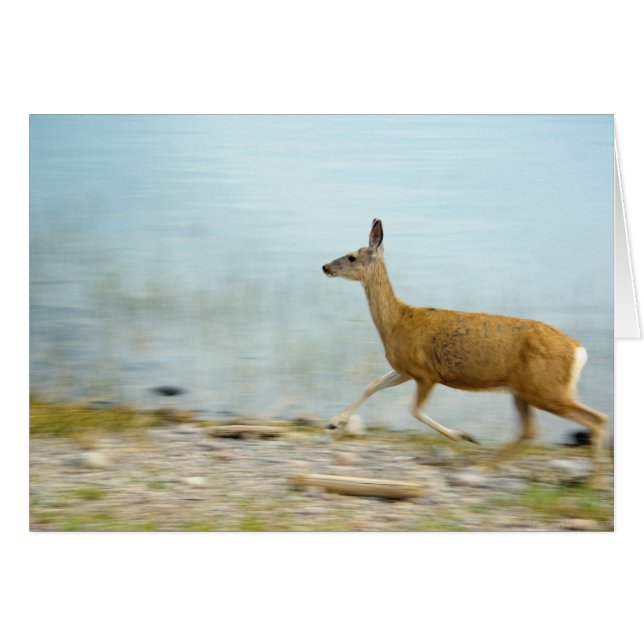 Kaart met onkruidverdelger (Voorkant Horizontaal)