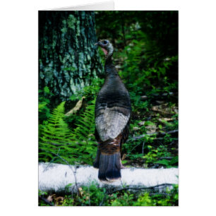 Kaart Moeder Turkije