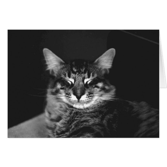 Kaart nr. 3 (Voorkant Horizontaal)