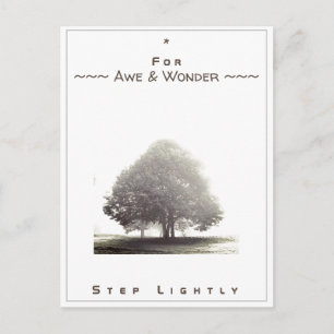 Kaart nr. 43: Voor Awe & Wonder Stap lichtjes