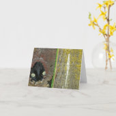 Kaart - Opmerking - zwarte kat peeking (Gele Bloem)
