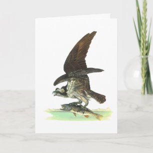 Kaart: Osprey - John Audubon Feestdagen Kaart