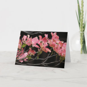 Kaart, "PINK DOGWOOD # 2" Kaart