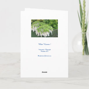 Kaart / Schoonheid / Wisteria / Tuin / Natuur / Ru