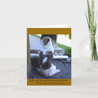 Kaart - Sympathy Card -PET