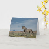 kaart "The Grey Ghost" (Gele Bloem)