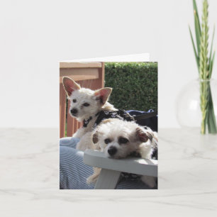 Kaart - twee pakketten