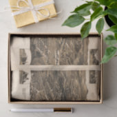 kaart van Anniston, Alabama (1887) Tissuepapier (Geschenk)