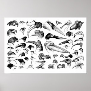 Kaart van Bills Poster