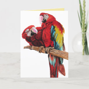 Kaart van Birthday Waterverf Bright Red Macaw Parr