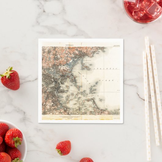 kaart van Boston Servet (Insitu)