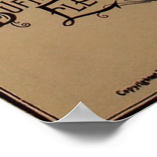 kaart van bufferzone NY (1901) Poster (Hoek)