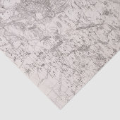 kaart van de Adirondacks New York Tissuepapier (Detail)