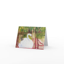 Kaart van de Boston Swan Boat