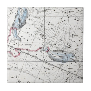 Kaart van de constellaties Bord XXII Tegeltje