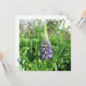 Kaart van de Franse tuin Lupine (Voorkant / Achterkant in situ)