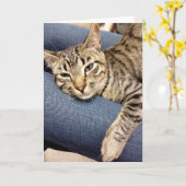 Kaart van de Gestreepte kat van de Redding van de (Gele Bloem)