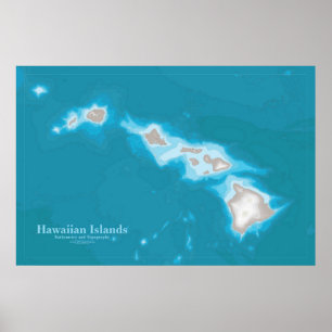 Kaart van de Hawaiiaanse eilanden Poster
