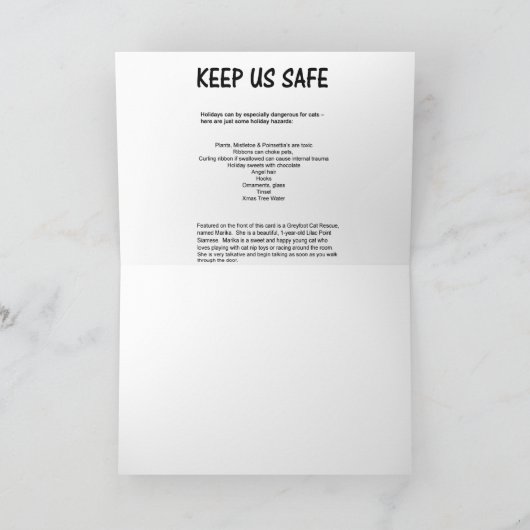 Kaart van de Kerstman van de Redding van de Kat (Binnen)