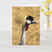 Kaart van de Kraan van het oosten de Afrikaanse (Gele Bloem)