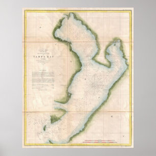 kaart van de kuststrook van Tampa (1855) Poster