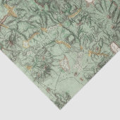 Kaart van de landclassificatie van Nevada Tissuepapier (Detail)