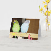 Kaart van de Nota van Budgie de Grote (Gele Bloem)