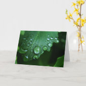 Kaart van de Nota van de Daling van de regen de (Gele Bloem)