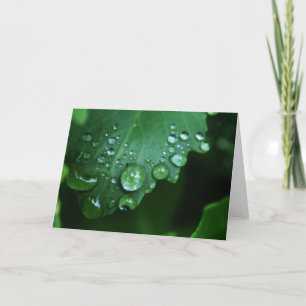 Kaart van de Nota van de Daling van de regen de