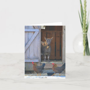 Kaart van de nota van de geitenhouderij en de kipp