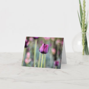 Kaart van de Nota van de Tulp van Tres de Elegante